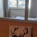 Rent Sierra Nevada